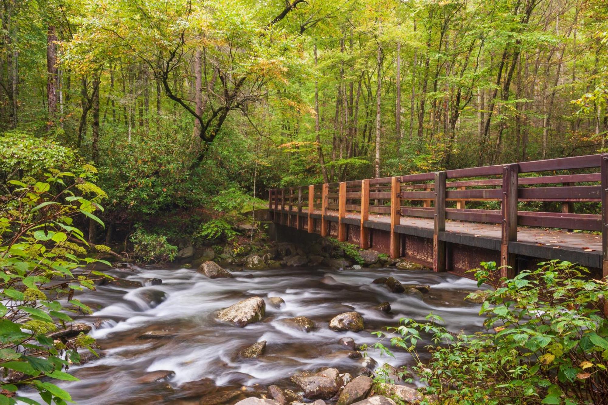 The Tiny Barn, 1089 Free Tickets Each Paid Day, Dollywood And More Sevierville Esterno foto